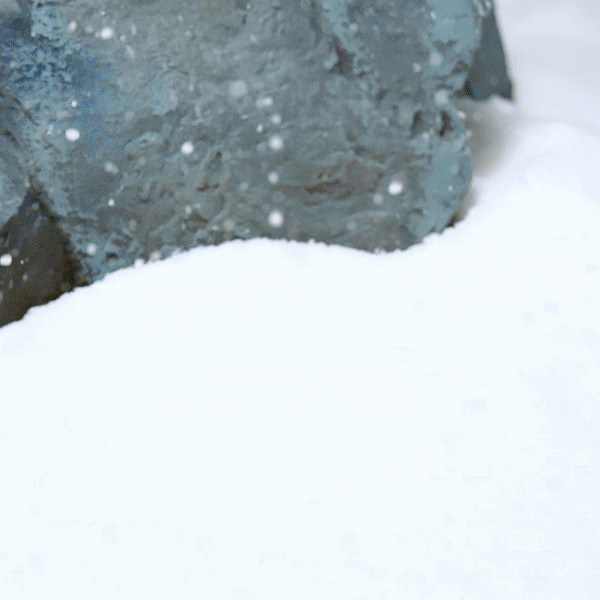 JIMMY CHOO CAPSULE COLLECTION STILL LIFE BOOTS