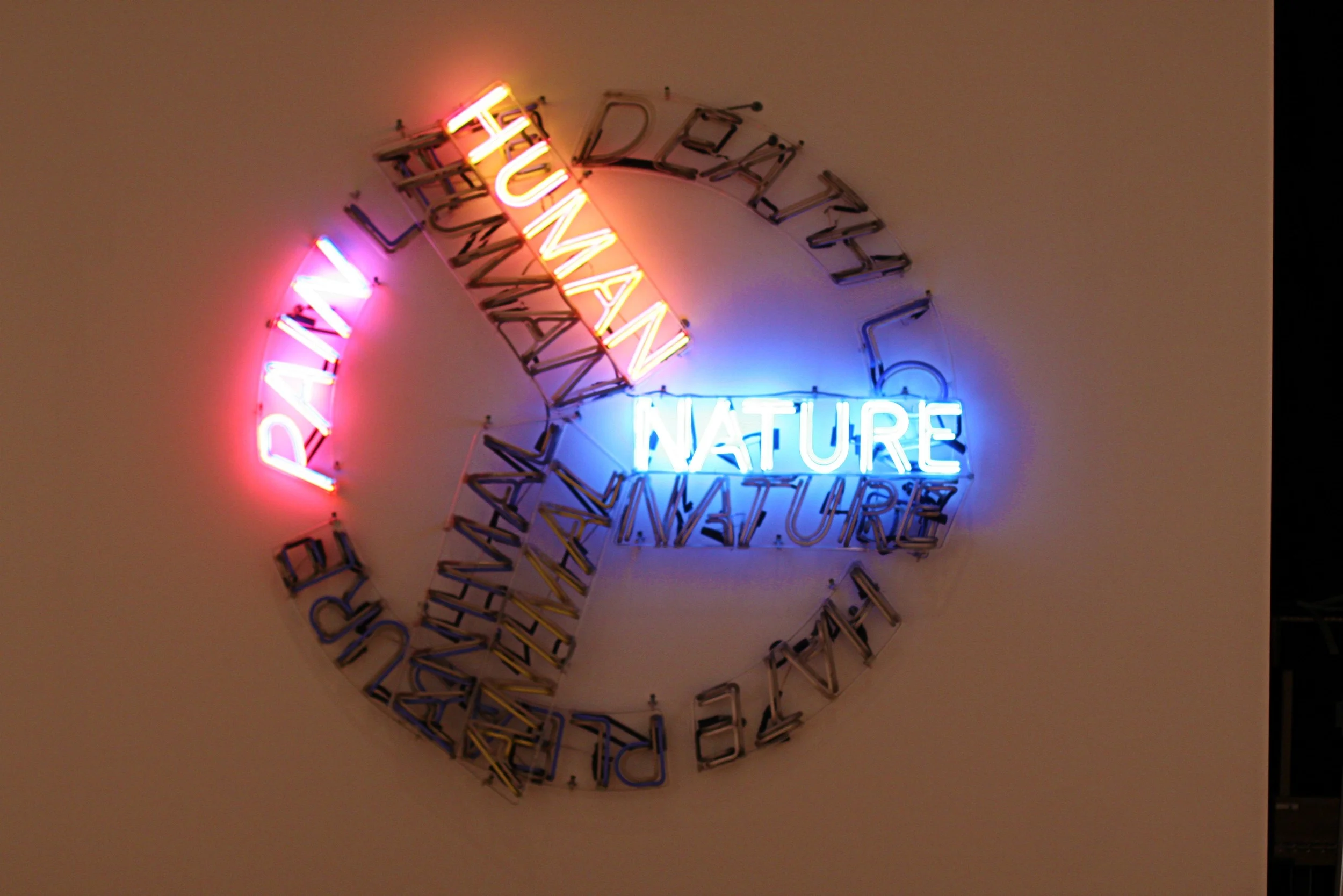 Mental Health Comorbidity 