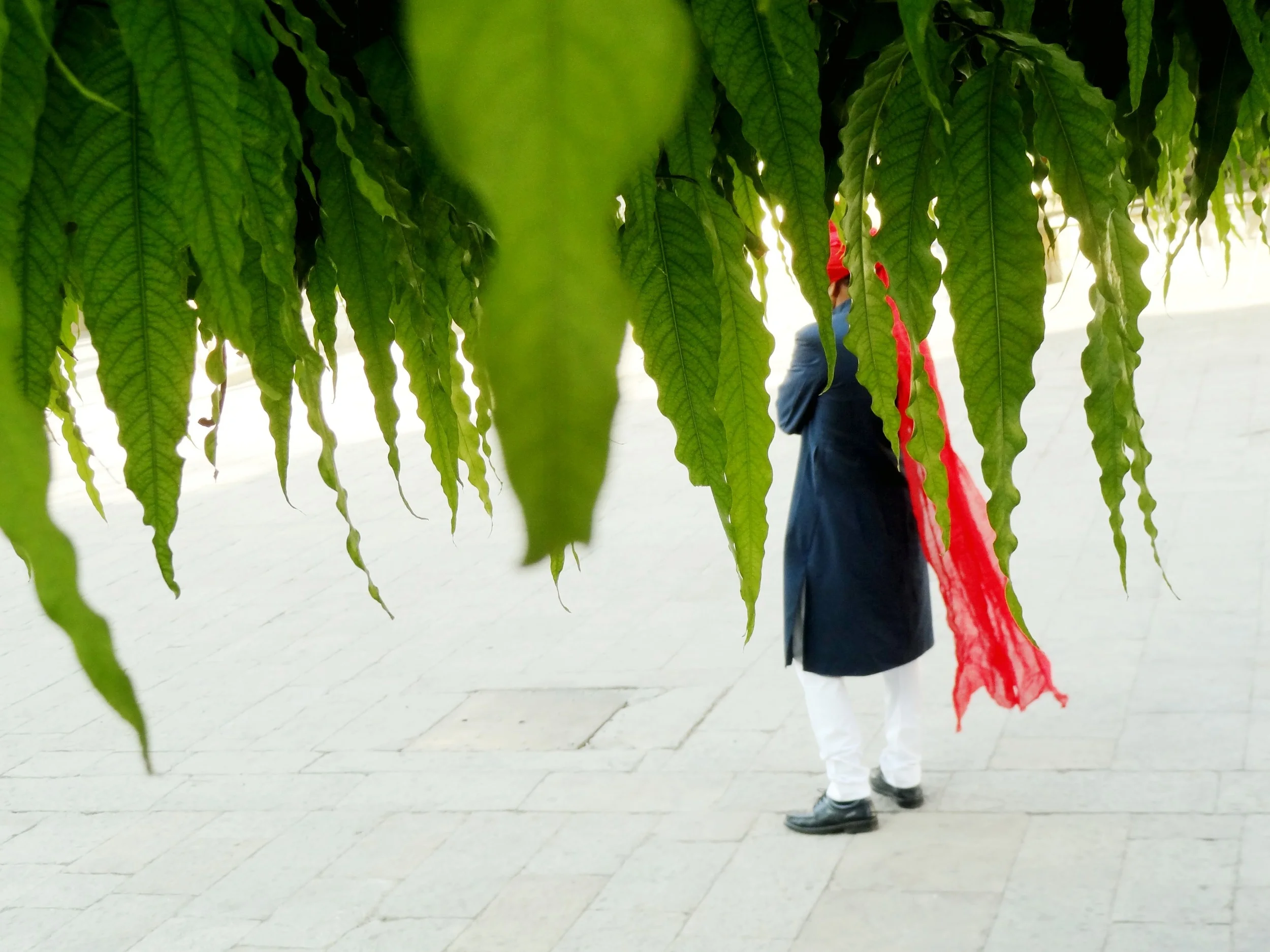 3 Do's and Don'ts of Men's Mental Health