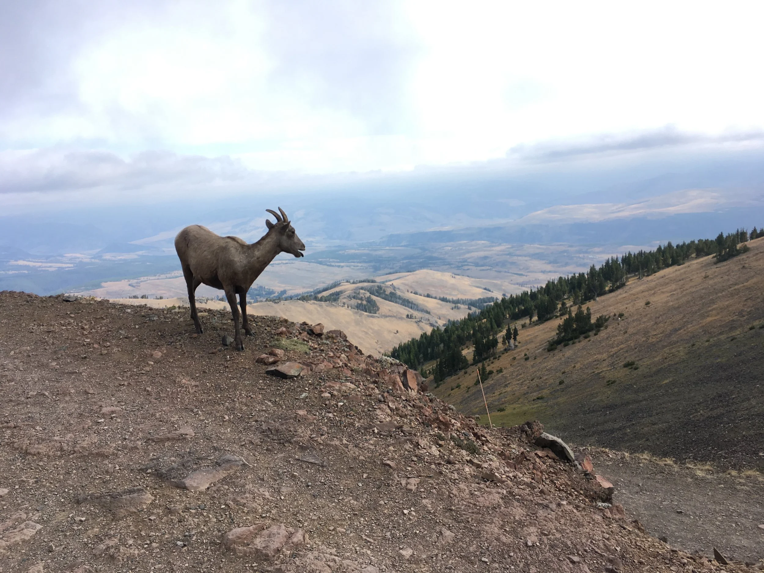 Hiking, Life and Mental Health - Part 4