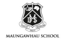 Maungawhau School, Mt Eden