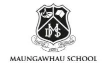 Maungawhau School