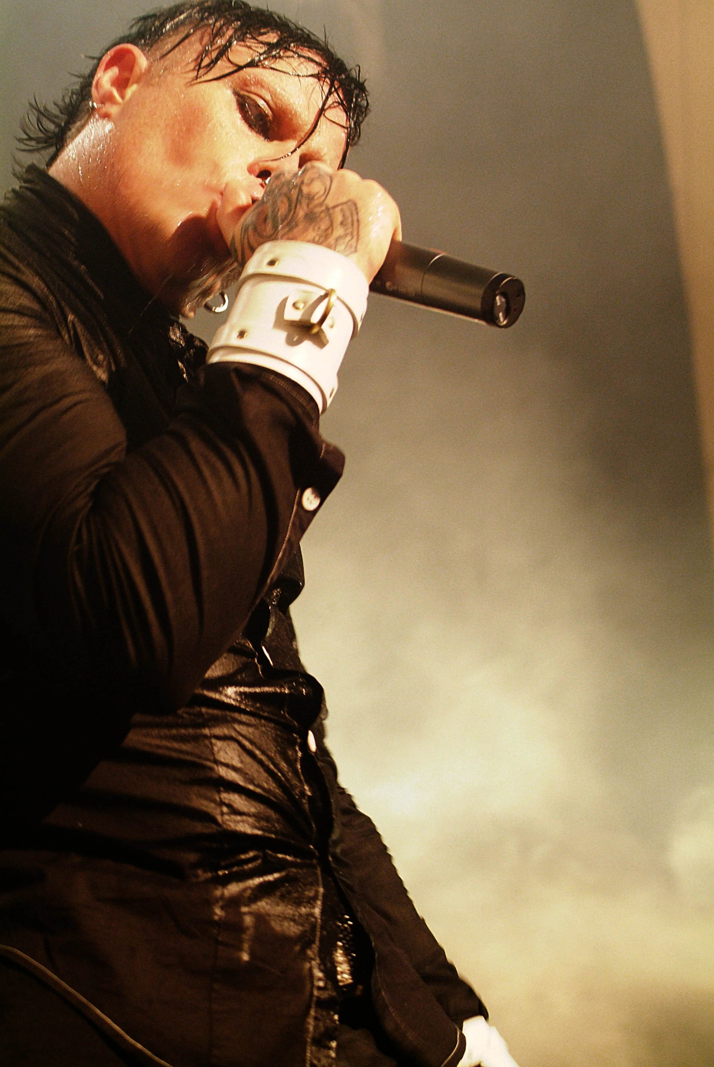 the crooner.jpg