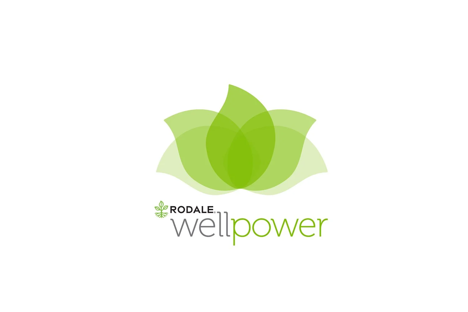 j_size_wp_logo-1.jpg