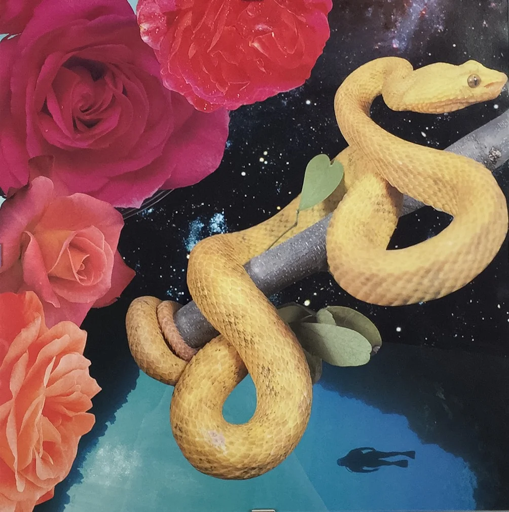 Paper collage by Krissy Teegerstrom 12"x12" 2016