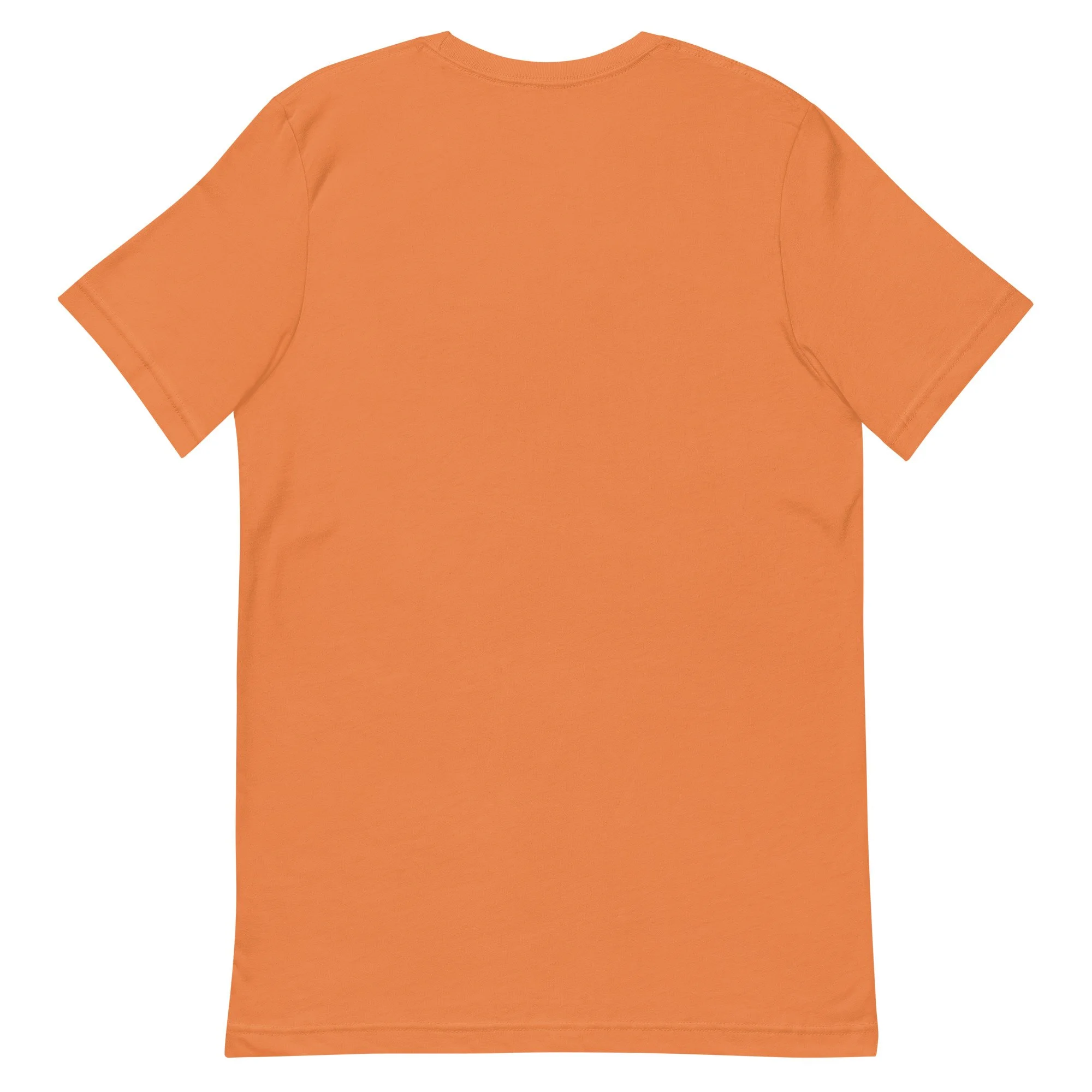 unisex-staple-t-shirt-burnt-orange-back-673dd139ca5de.jpg