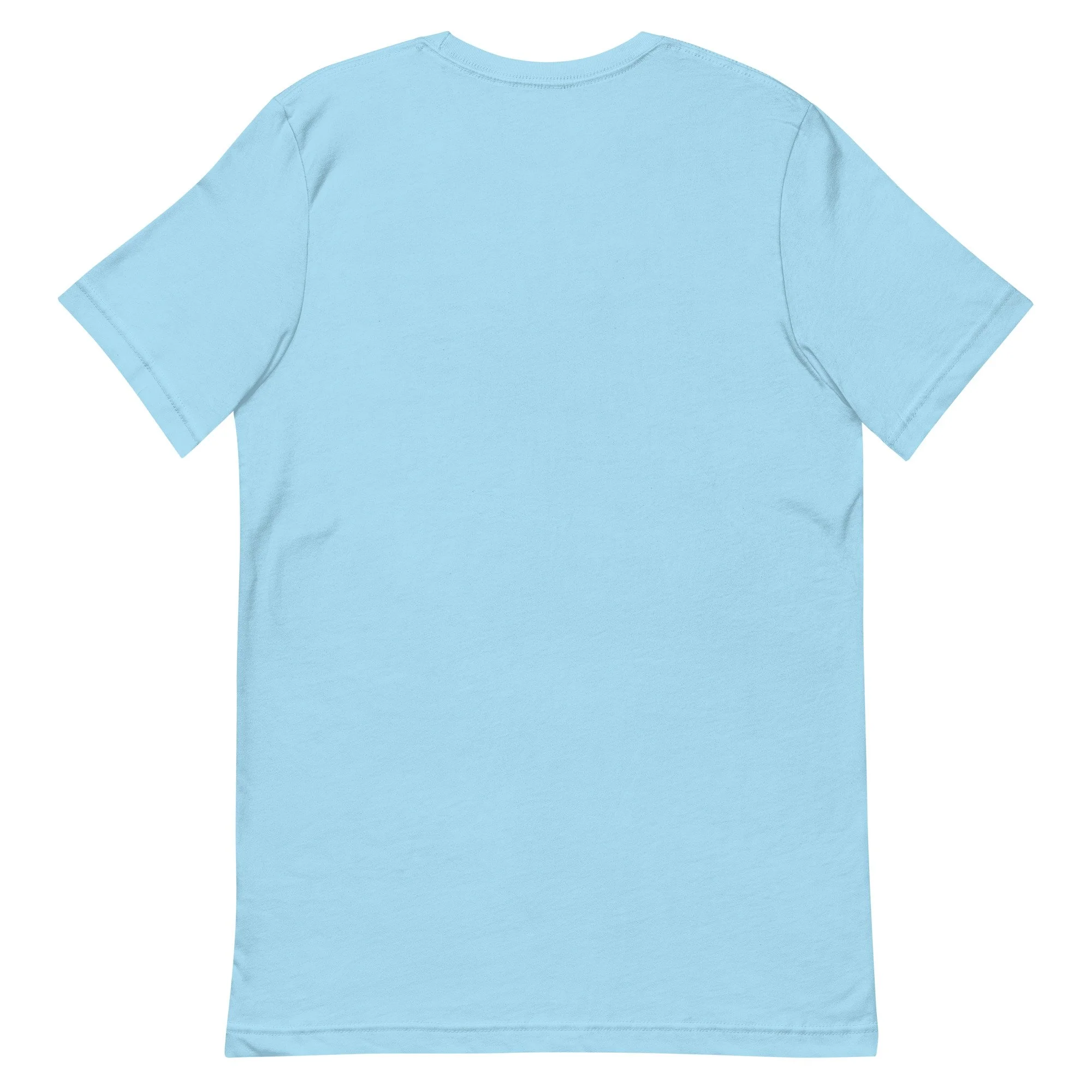 unisex-staple-t-shirt-ocean-blue-back-673dd13a19062.jpg