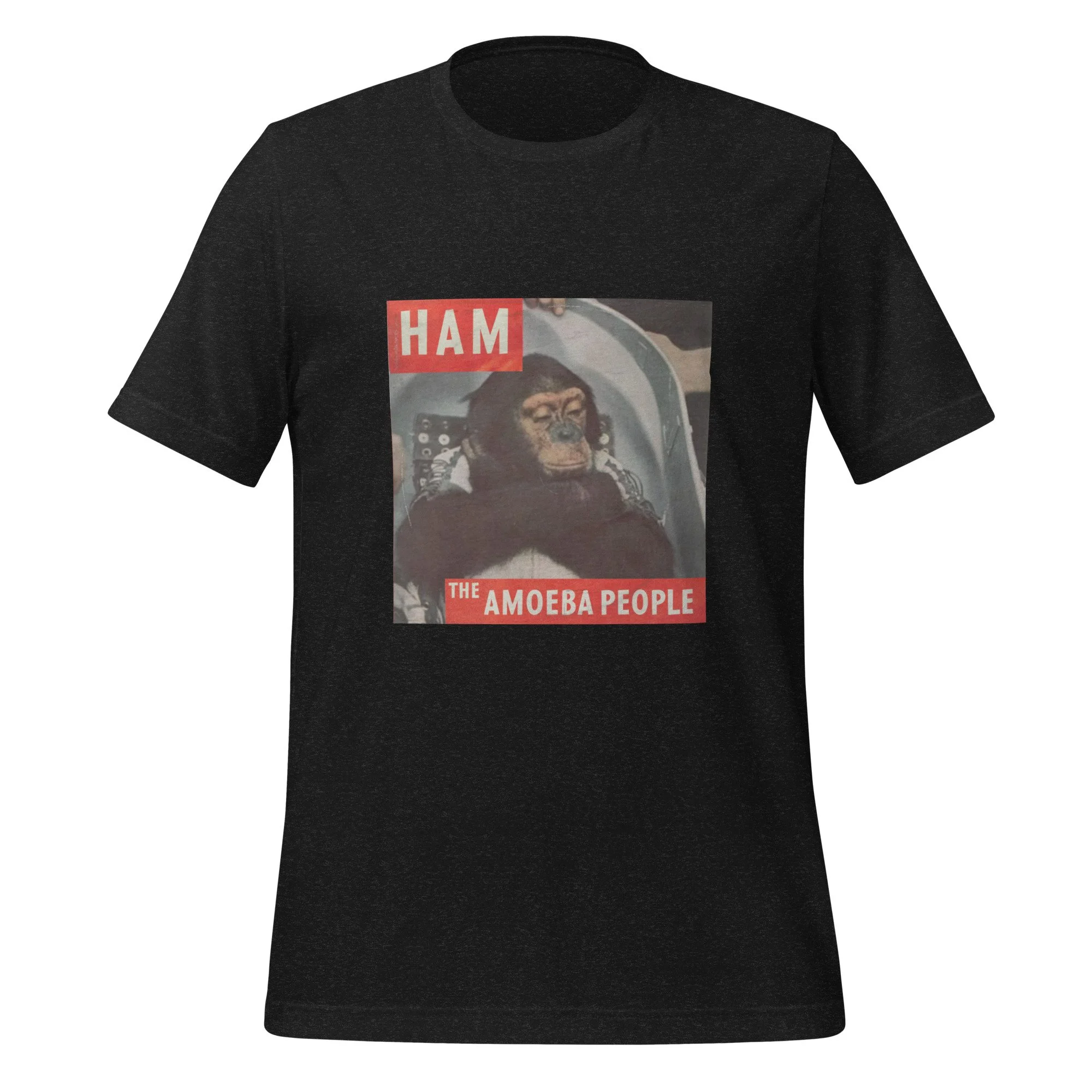 unisex-staple-t-shirt-black-heather-front-6a14779454c5d.jpg