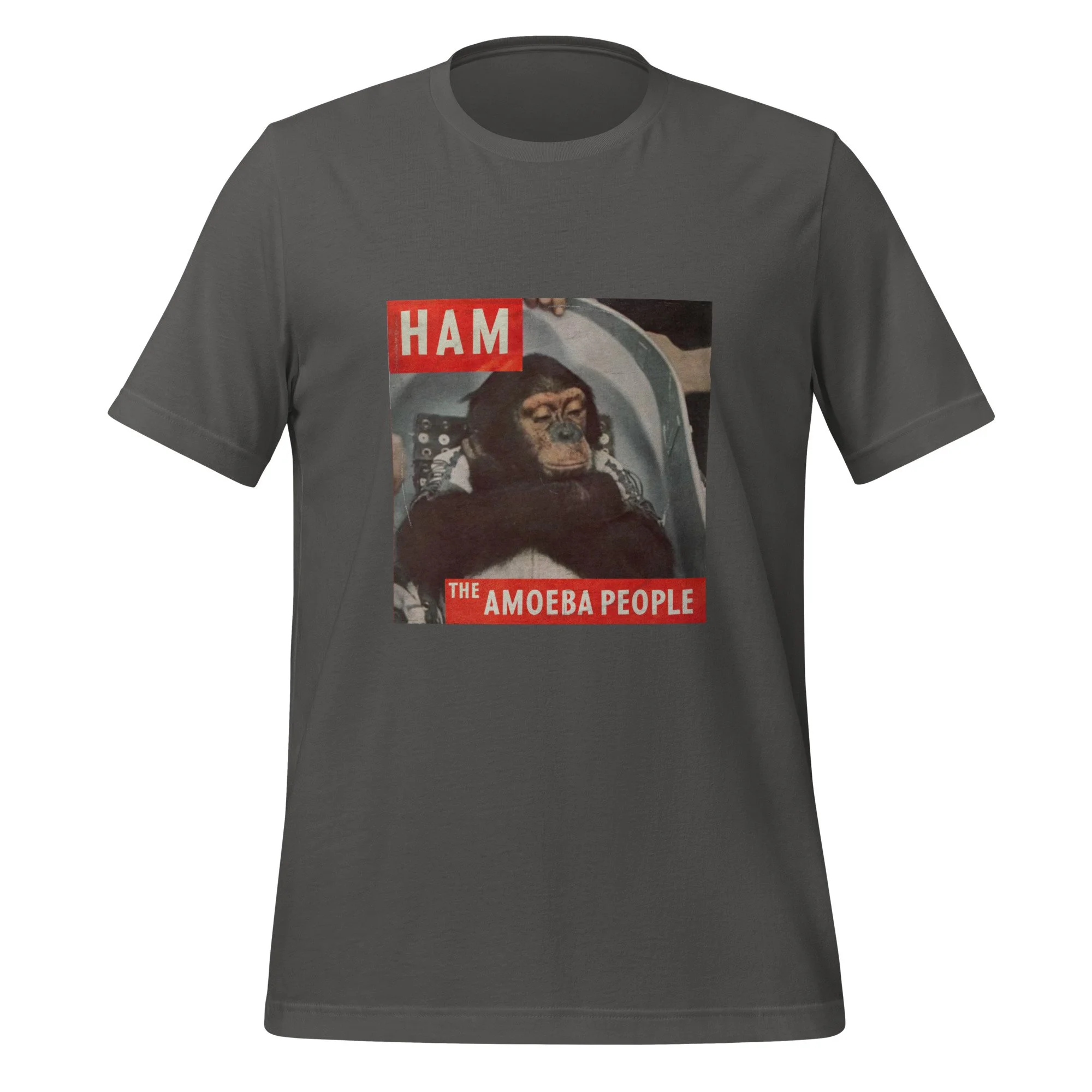 unisex-staple-t-shirt-asphalt-front-6a14779458338.jpg