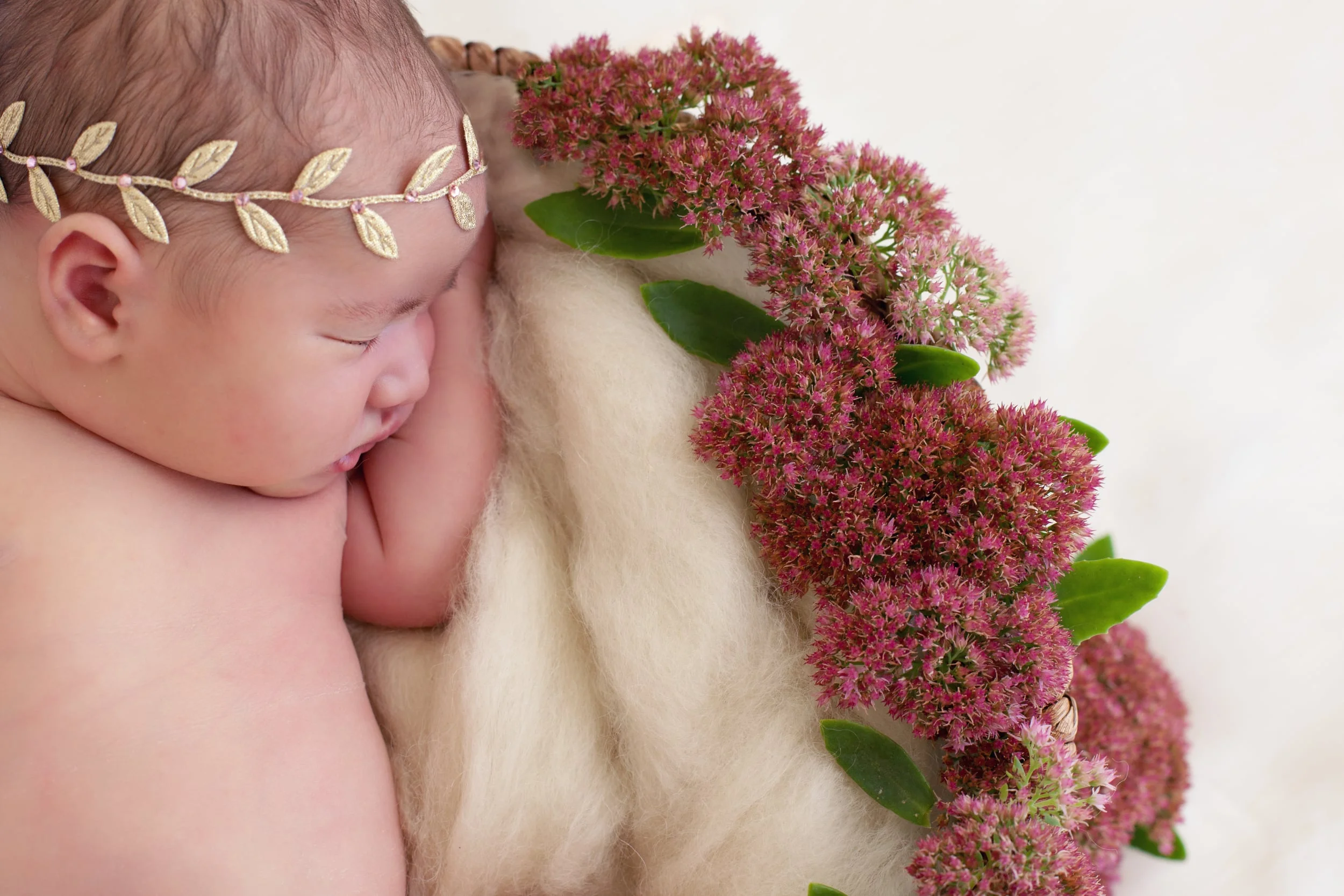 St. Louis Natural Newborn Photography
