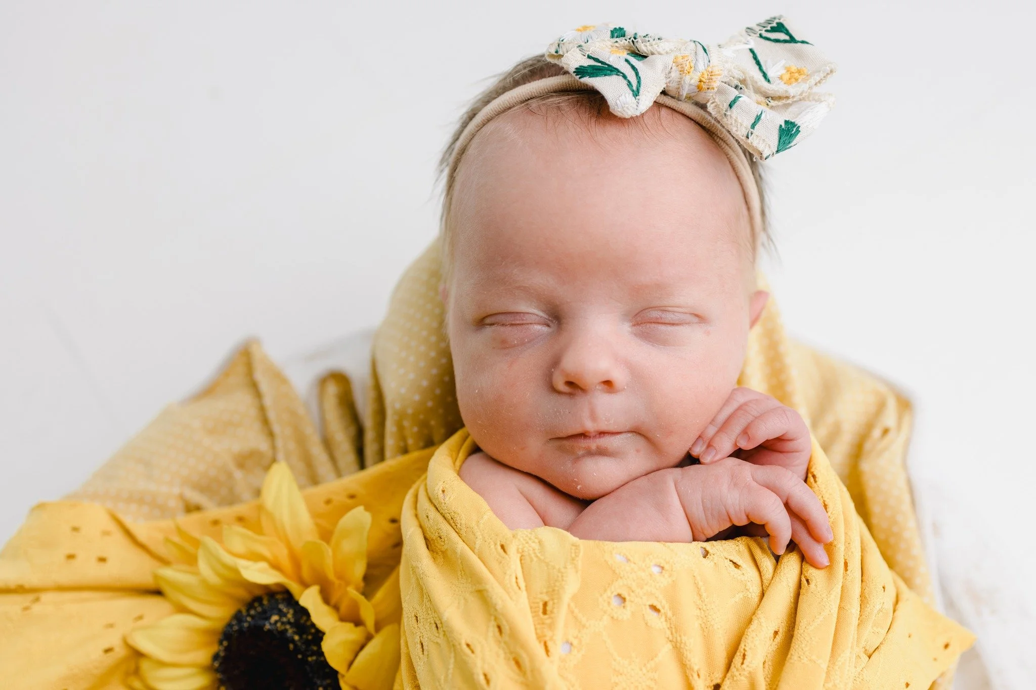 Just a little something to brighten your day...

#stlcatholicphotographer #stlouisfamilyphotographer #stlouiskidphotographer #stlcatholic #catholicphotographer #familyphotographer #stlouisphotographer 
#stlouiscatholicportraitstudio #newbornphotograp