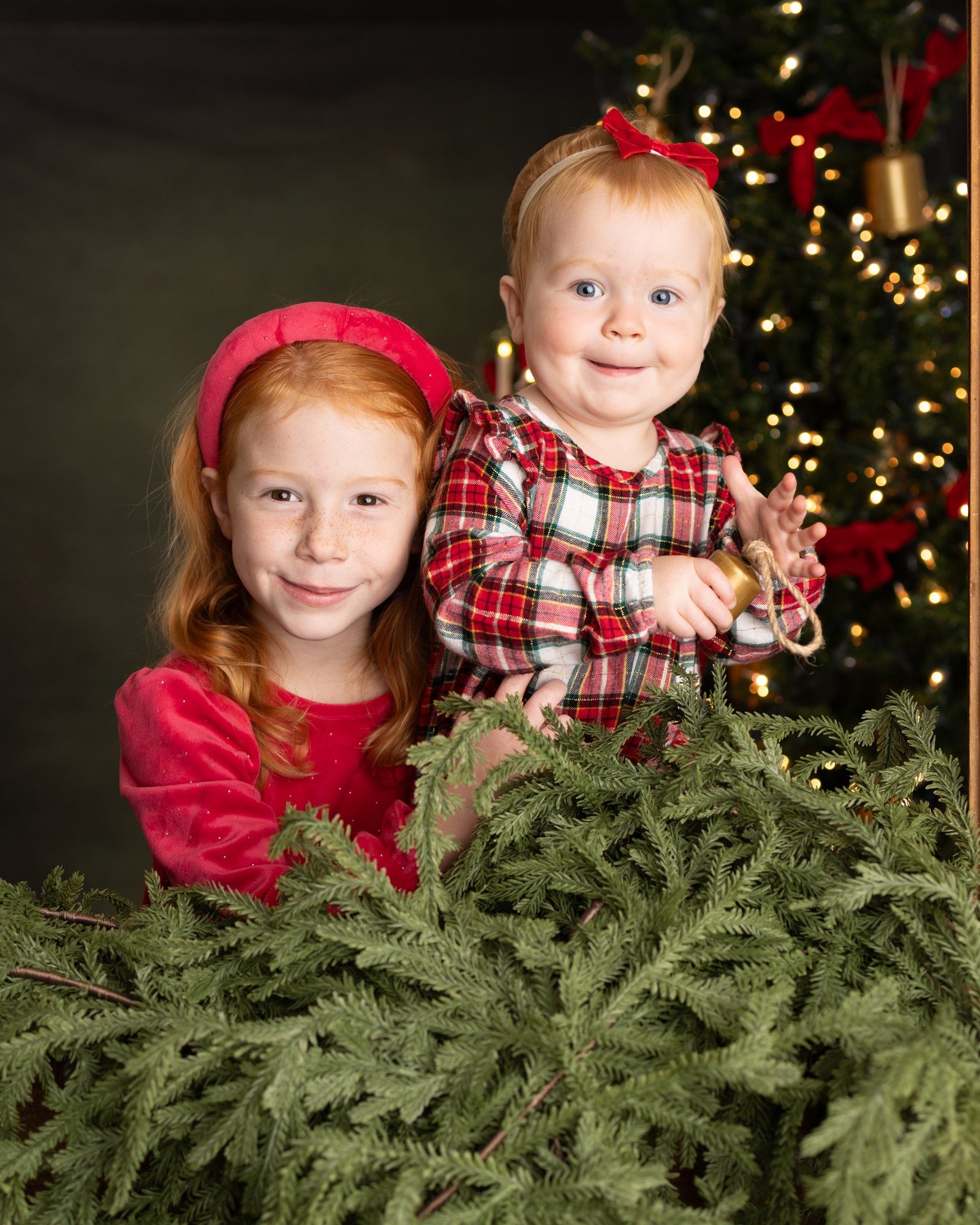 It's the 5th Day of Christmas!