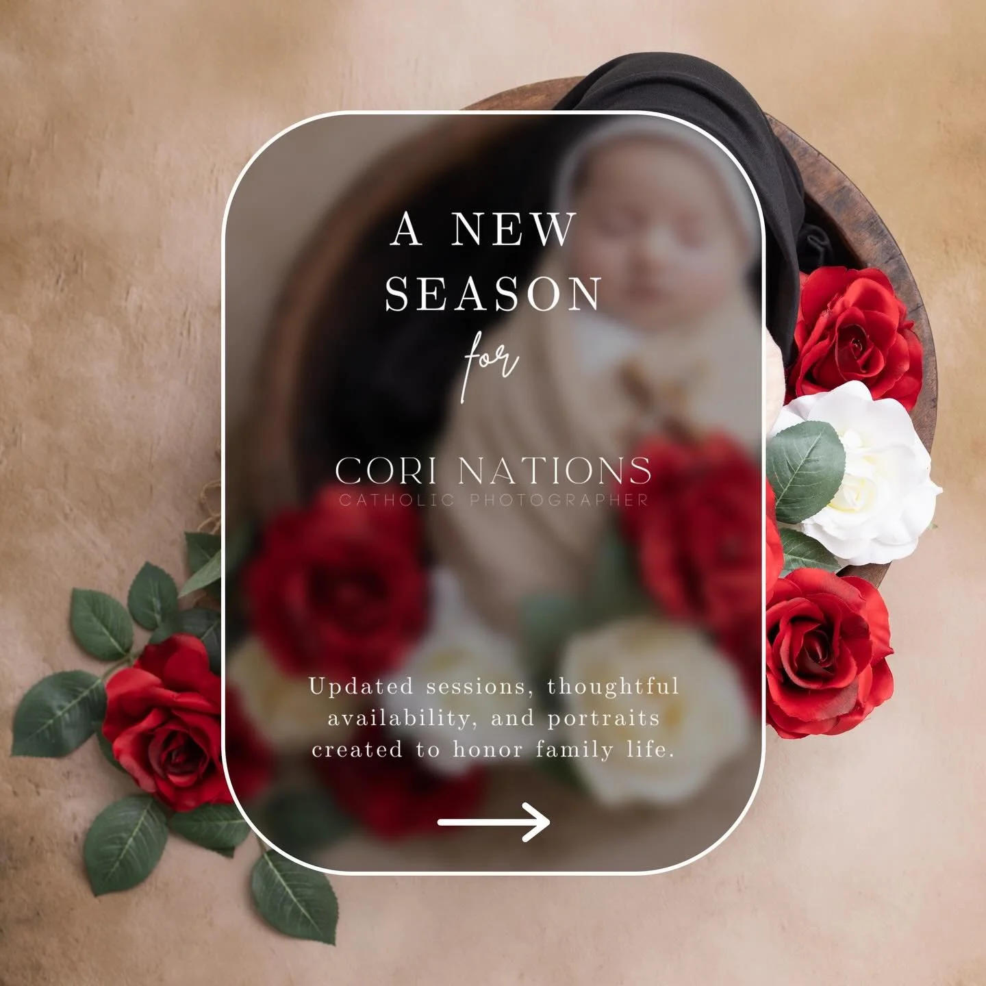 After much prayer and thoughtful consideration, I am making a few updates to my family life and business &mdash; and I wanted to share them with you personally.
In the coming season, I will be returning to homeschooling &mdash; something our family h