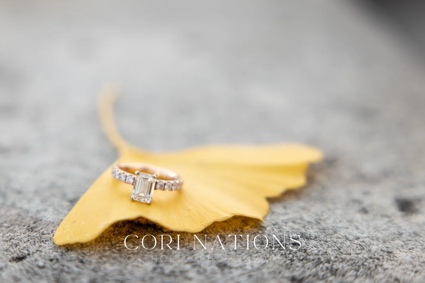 St_Louis_Catholic_Engagement_Photographer-78.jpg