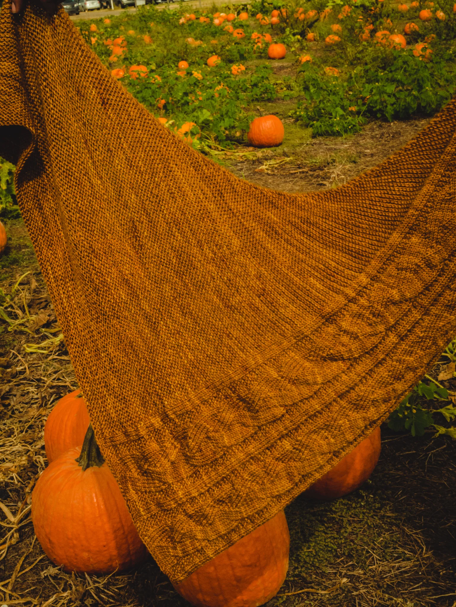 PATTERN: Rolling Pastures Shawl