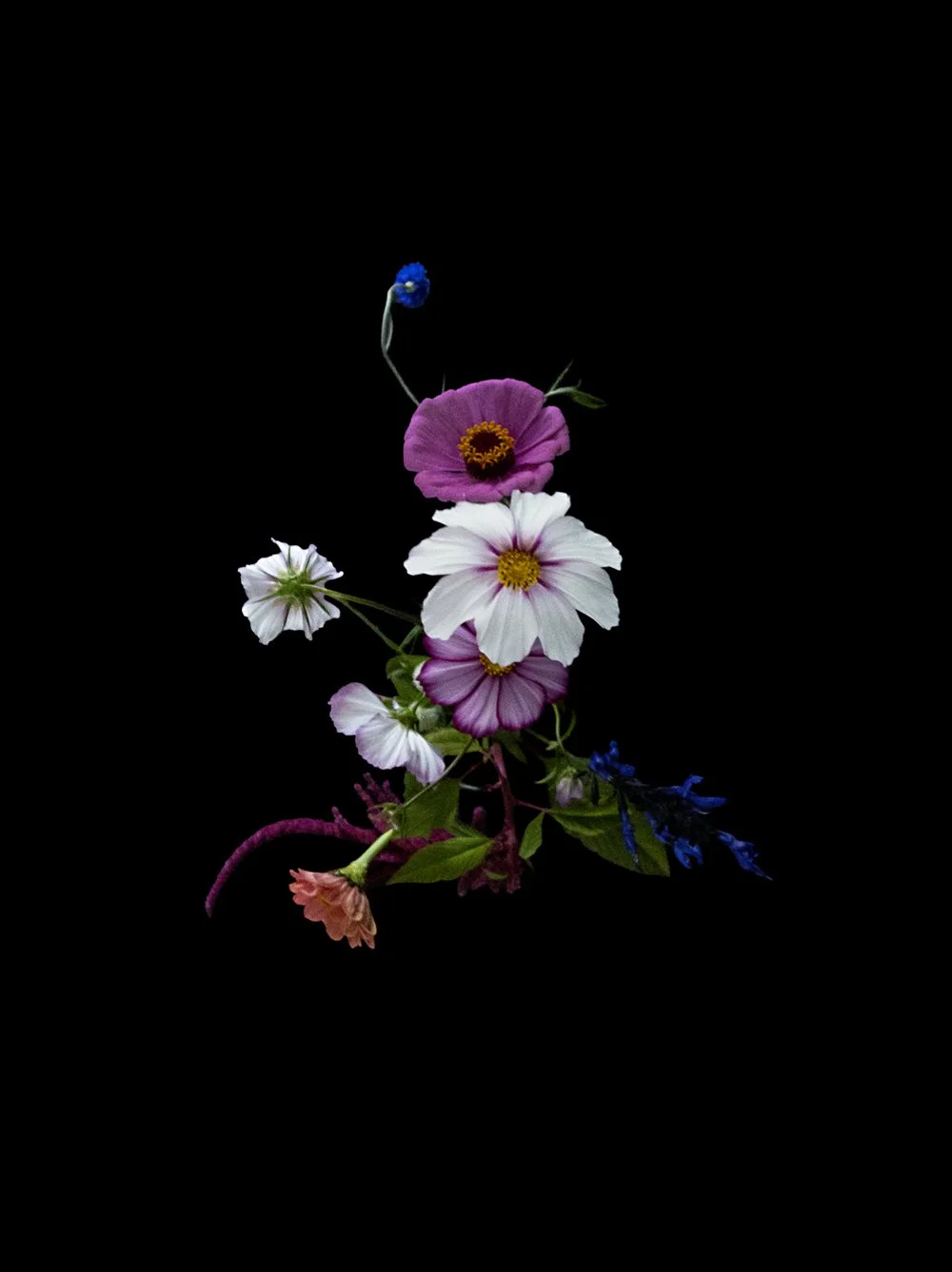 top view of flower arrangement captured in a still life floral fine art photograph and made into a giclee print.