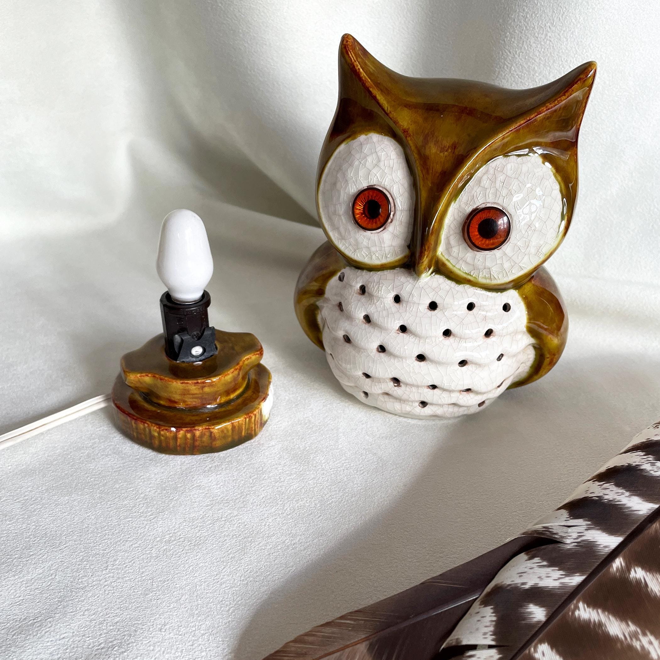 https://i.etsystatic.com/18371887/r/il/28a195/6724574717/il_fullxfull.6724574717_ojr7.jpg
