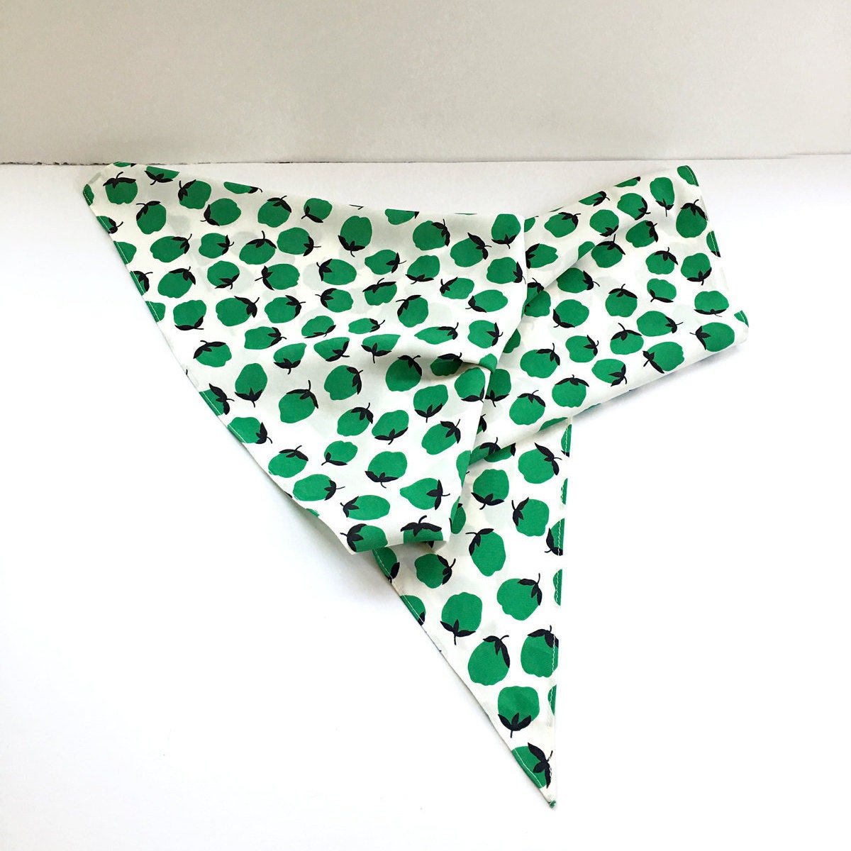 https://i.etsystatic.com/18371887/r/il/d2000e/1605924634/il_fullxfull.1605924634_5otz.jpg
