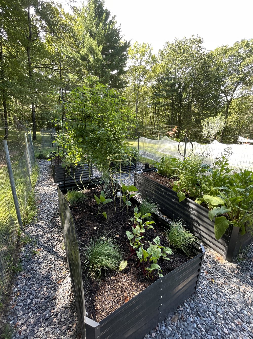 garden-vegetable-photo-beds-shot.jpg