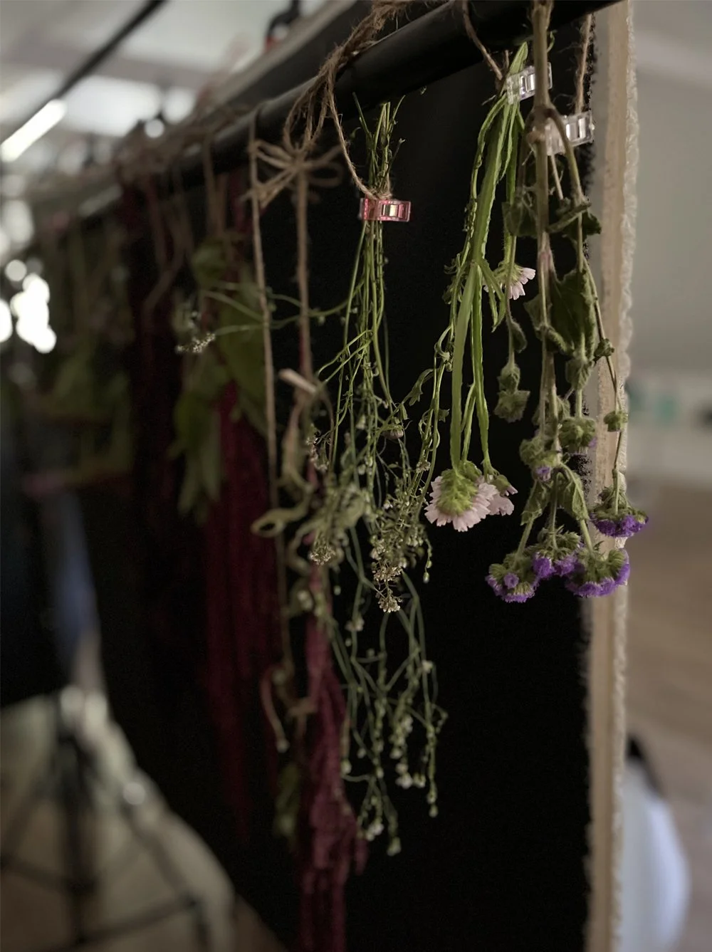 flowers-harvest-drying-studio-shot.jpg