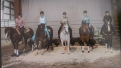 Erin Alberda, Nancy Gill, Nancy Huntley, Catherine Sherwood and Tara Kowalski and their equine partners at the West Coast Classic in Chilliwack, BC. July 11-13, 2015