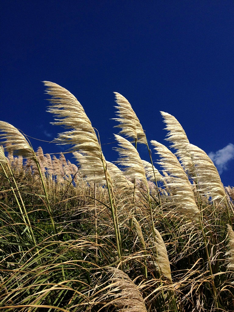 Day 91 Light Painting