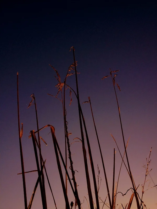 Day 92 Sundown (Photo of the Day today!)