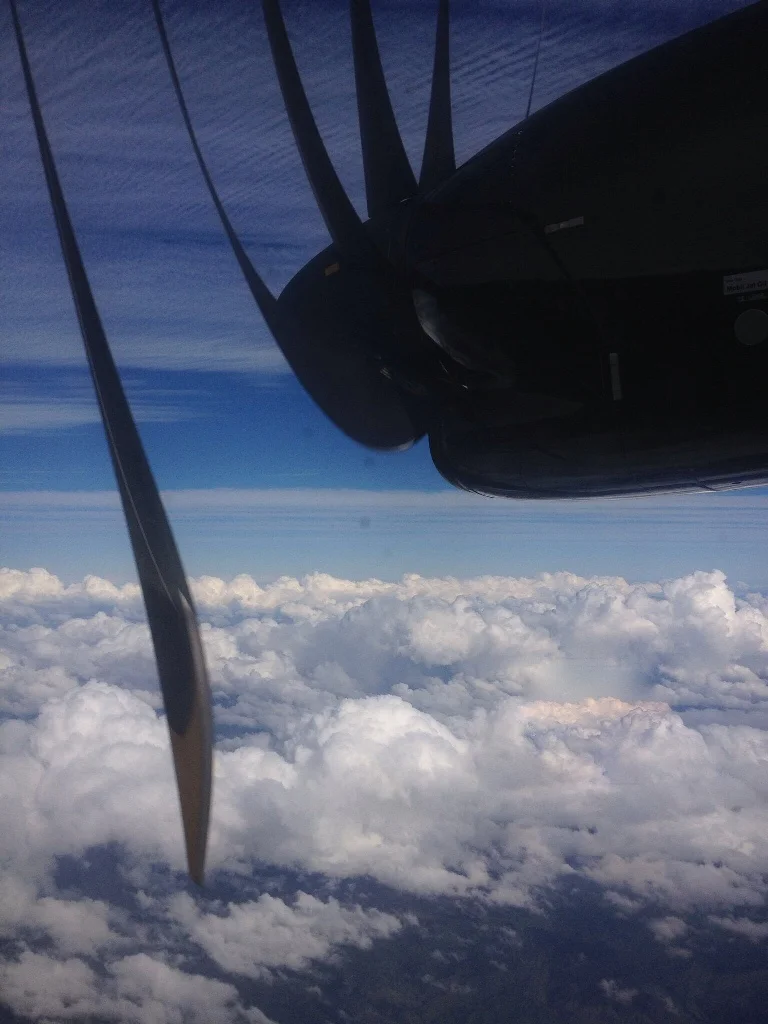 Day 128 Soaring