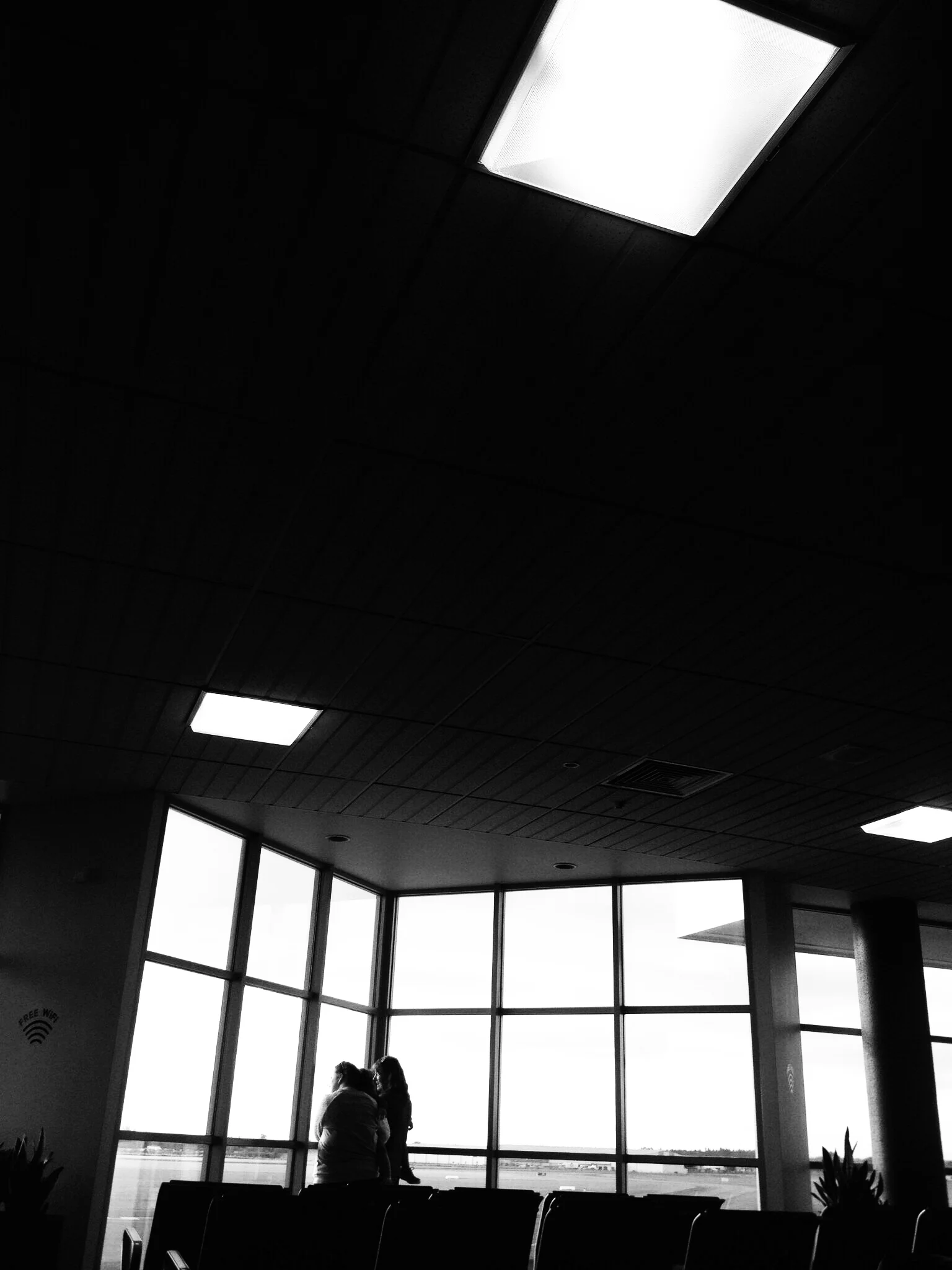 Day 137 Lit Up