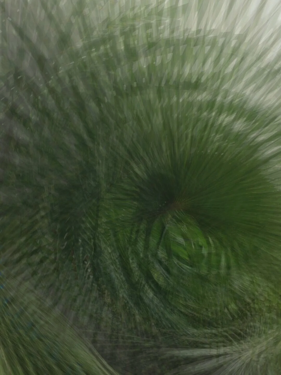Day 141 Spin