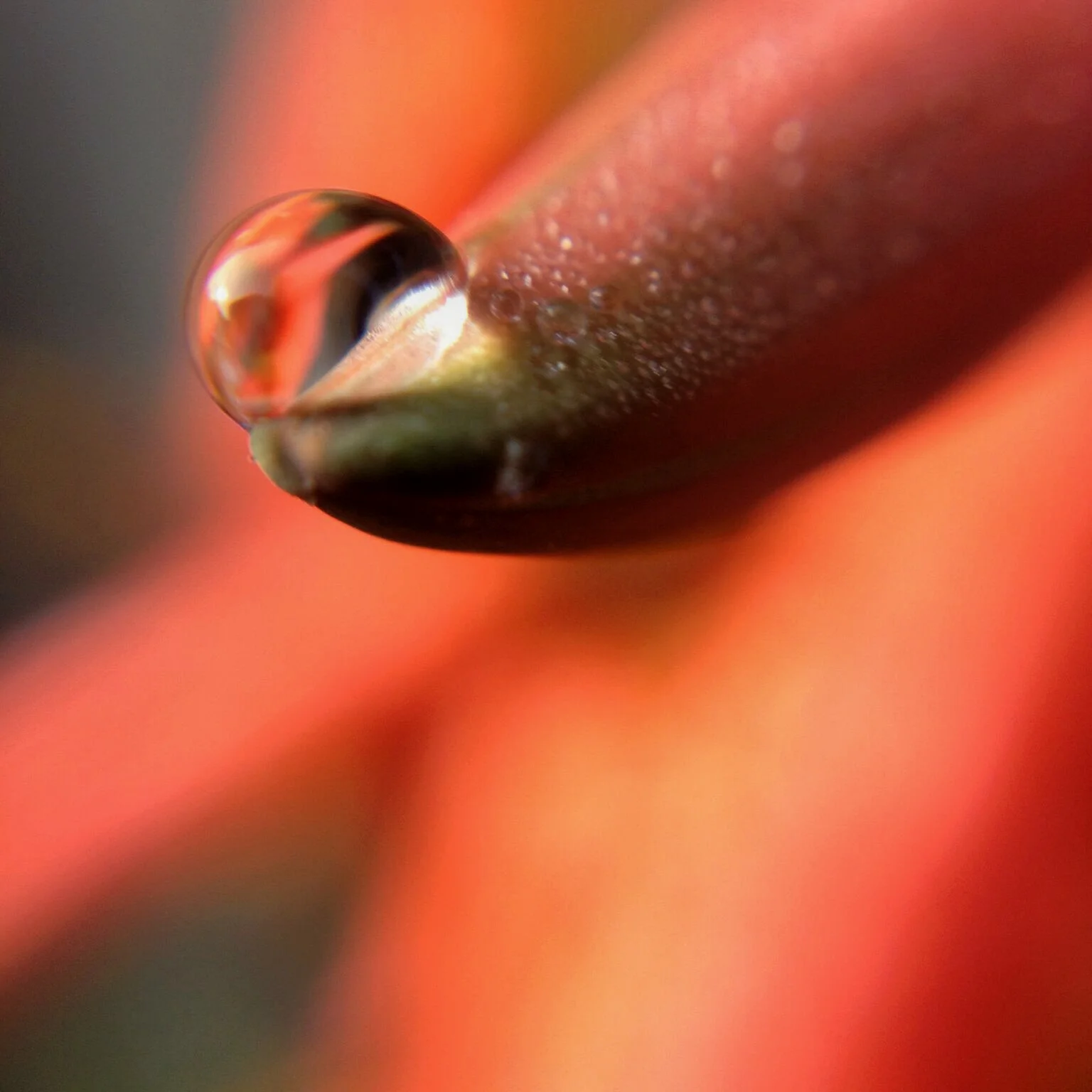 Photo 5-06-15 9 21 26 pm.png