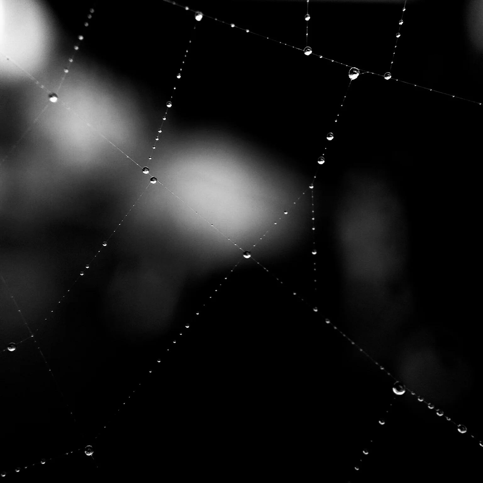 Photo 5-06-15 9 27 57 pm.png