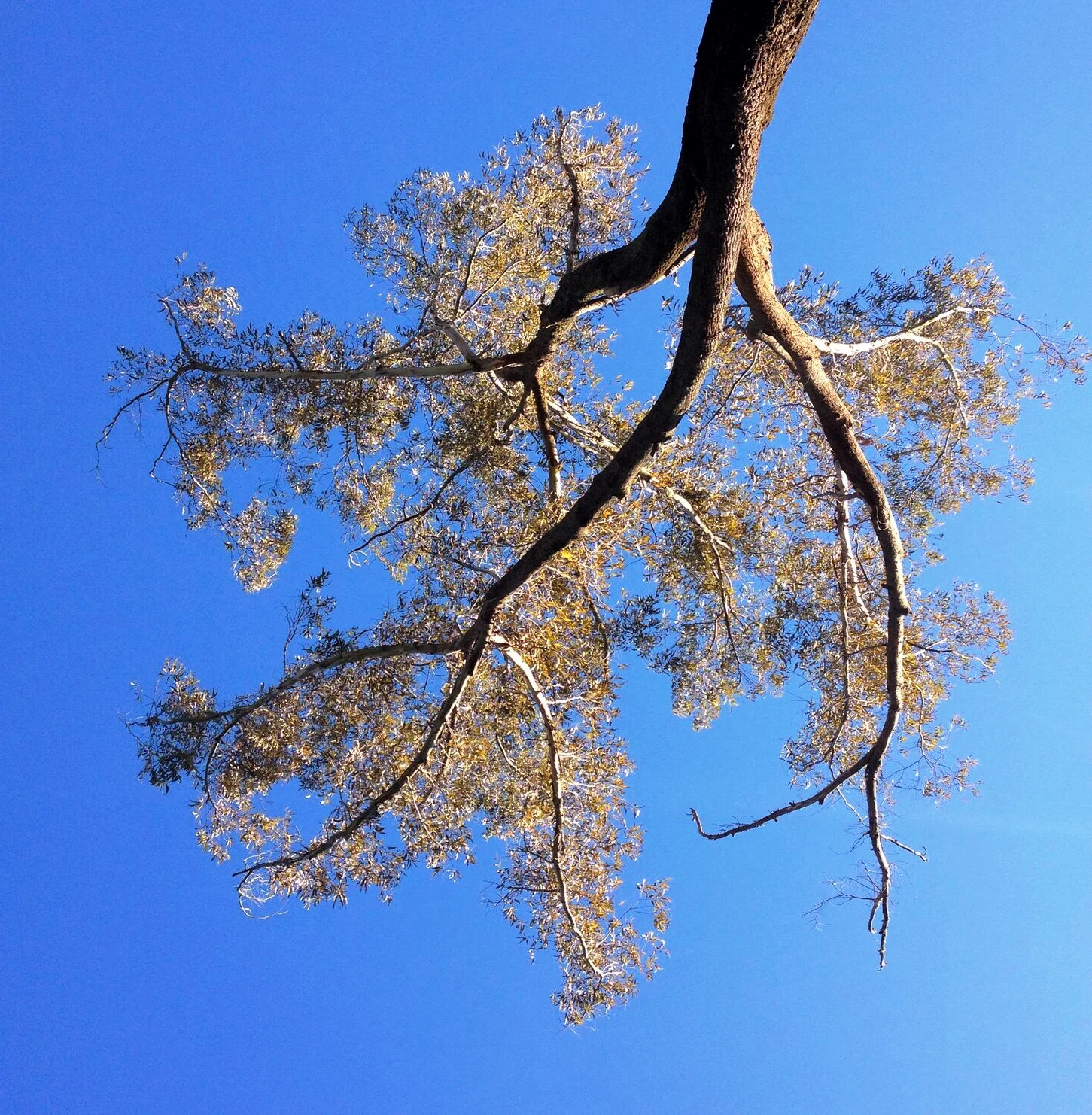 Photo 31-05-15 7 43 59 pm.png