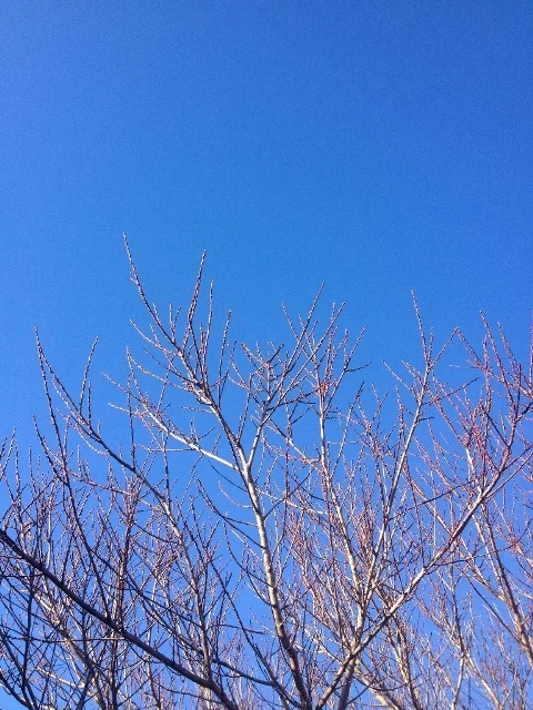Day 194 Sky Blue