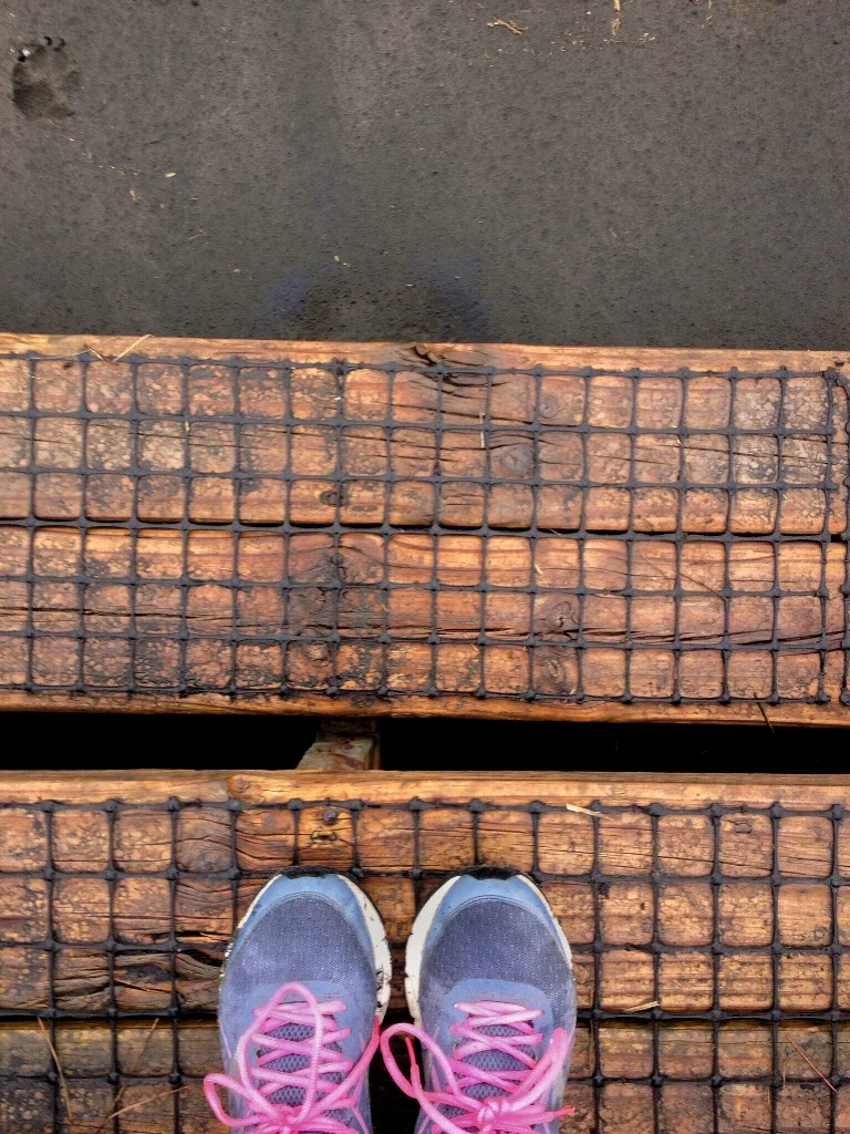 Day 217 Where I Stand | Look Down