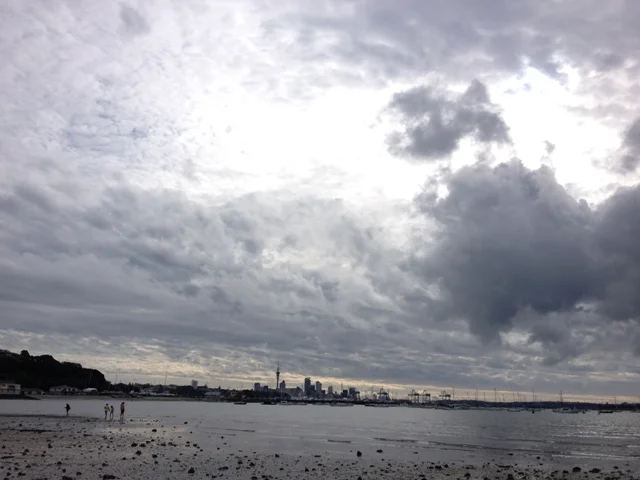 Day 262 Last Day (OP)