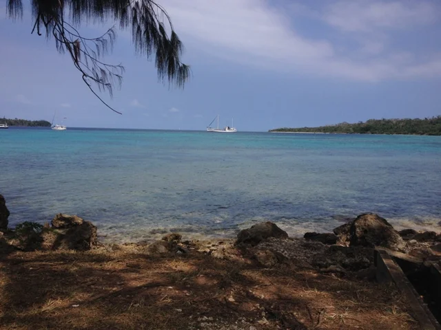 Day 264 Beauty of the Pacific (OP)