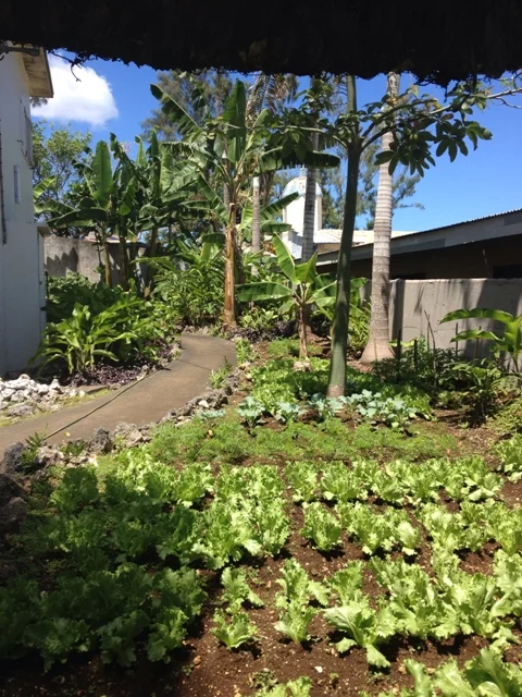 Day 267 The view from school (OP)