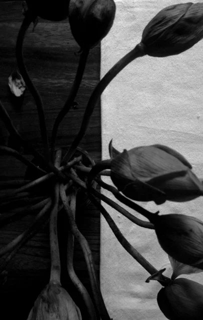 Day 324 From Above
