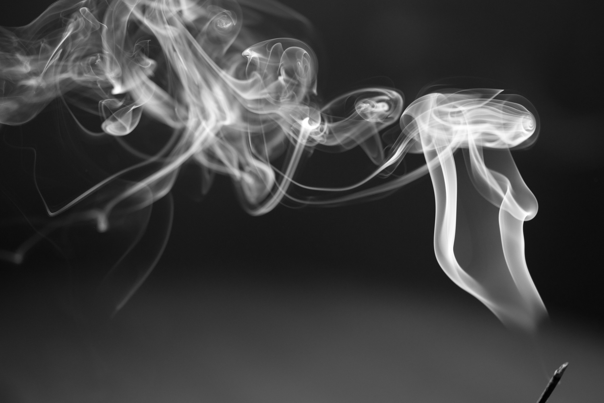 Incense Smoke.jpg