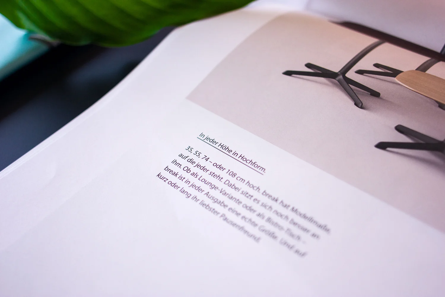 TimKaun_JvM_Summer_News-12.jpg