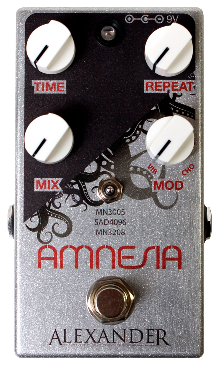 Amnesia