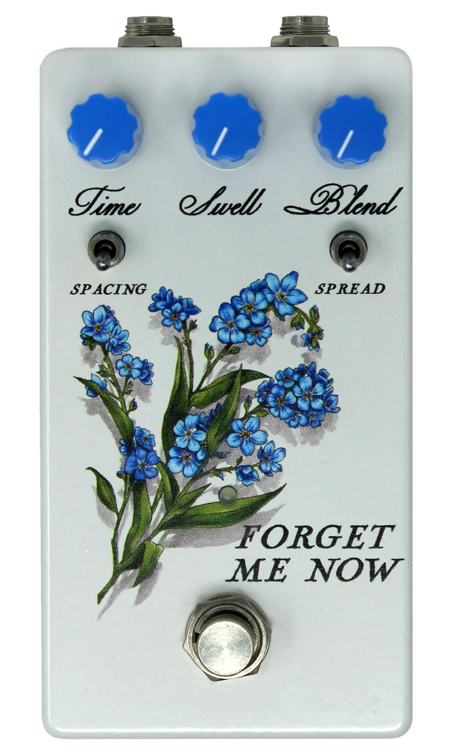 LC-FORGETMENOW-front.jpg