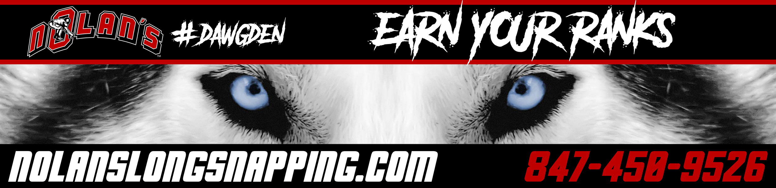 Nolan's-Dawgs-Header.png