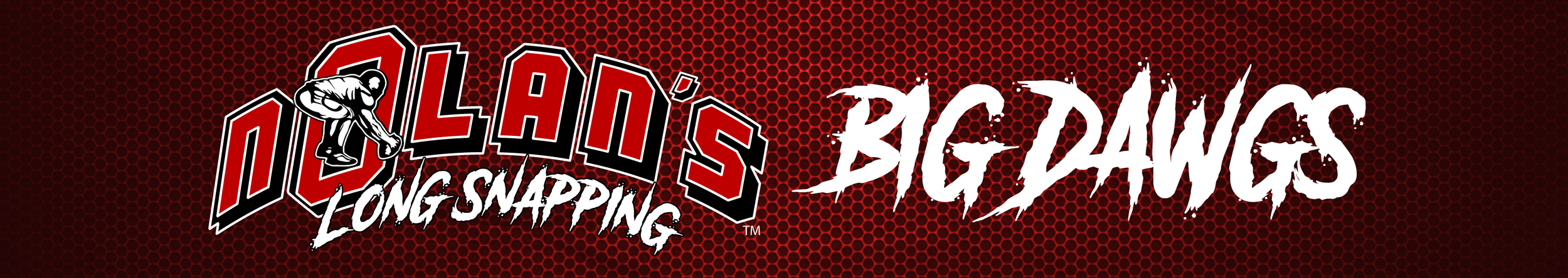 Nolan's-Big-Dawgs-BANNER.png