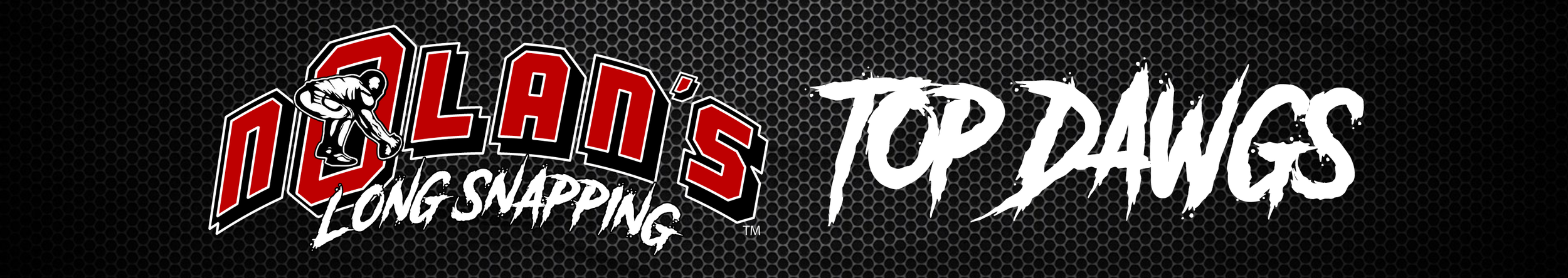 Nolan's-TOP-Dawgs-BANNER.png