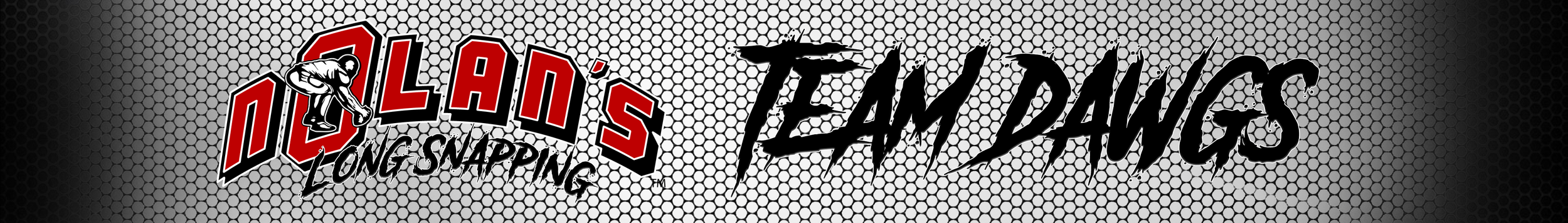 Nolan's-TEAM-Dawgs-Banner.png
