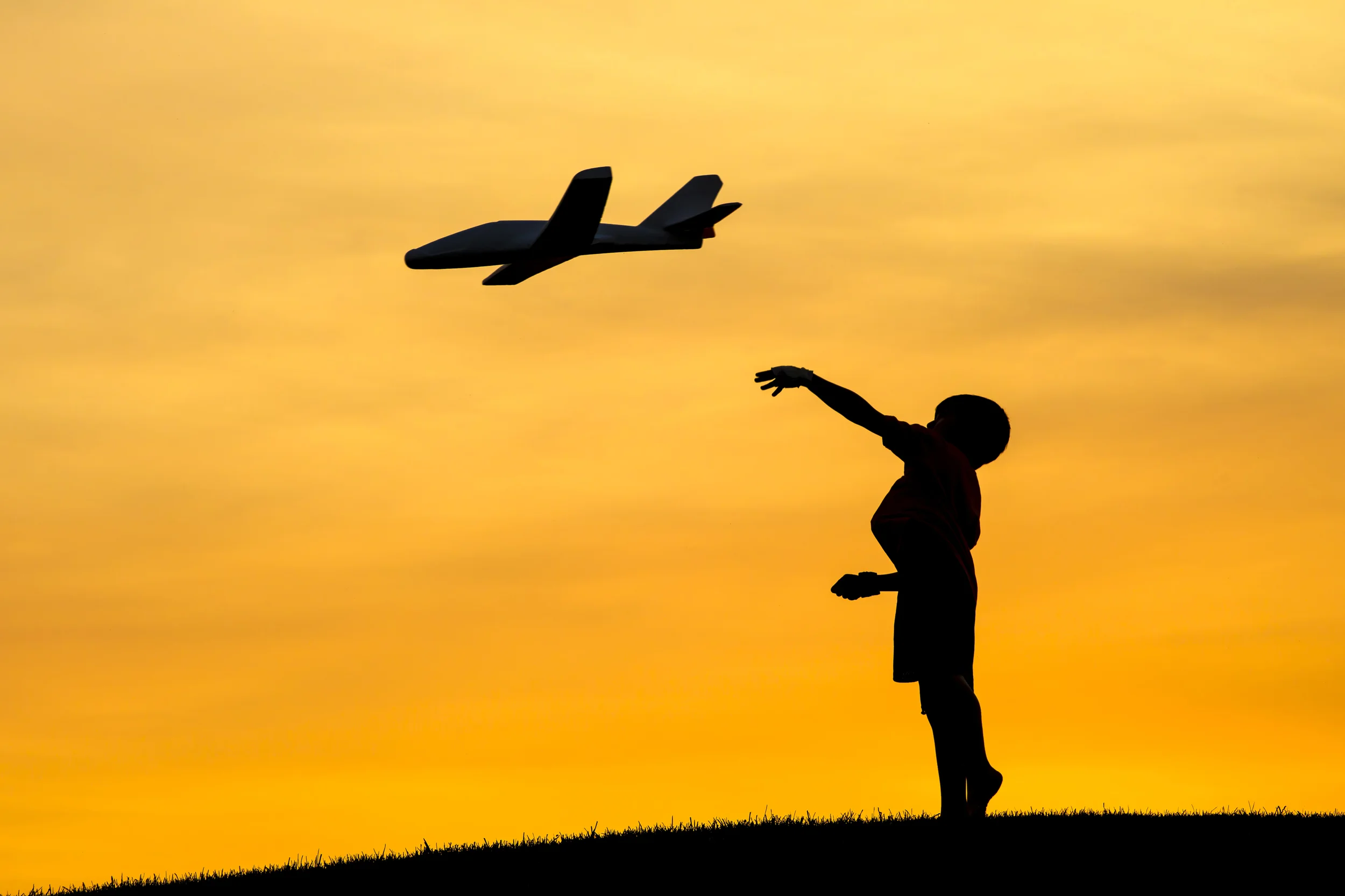 dreamstime_42730018 Fly Left.jpg