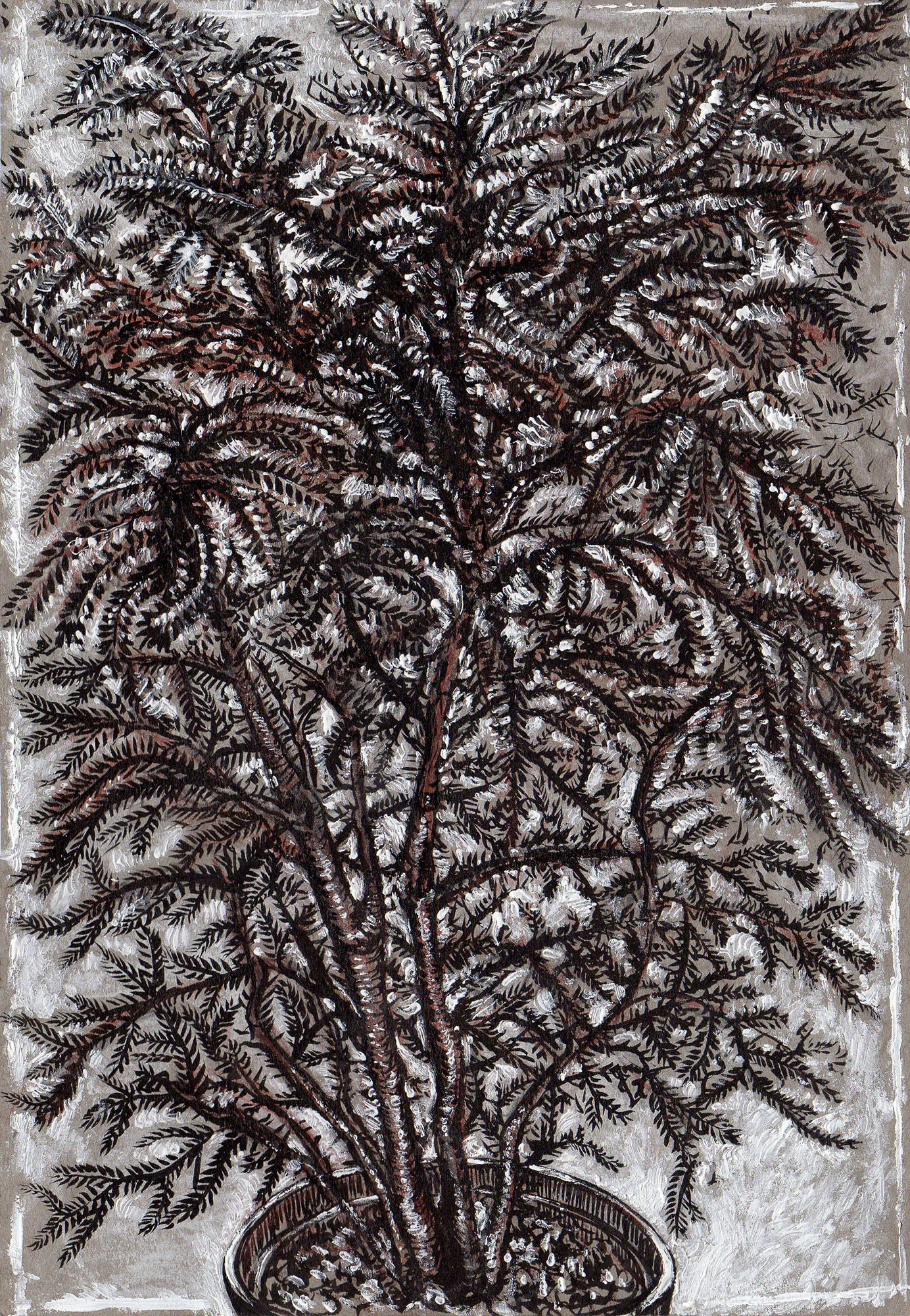 Tree In Pot