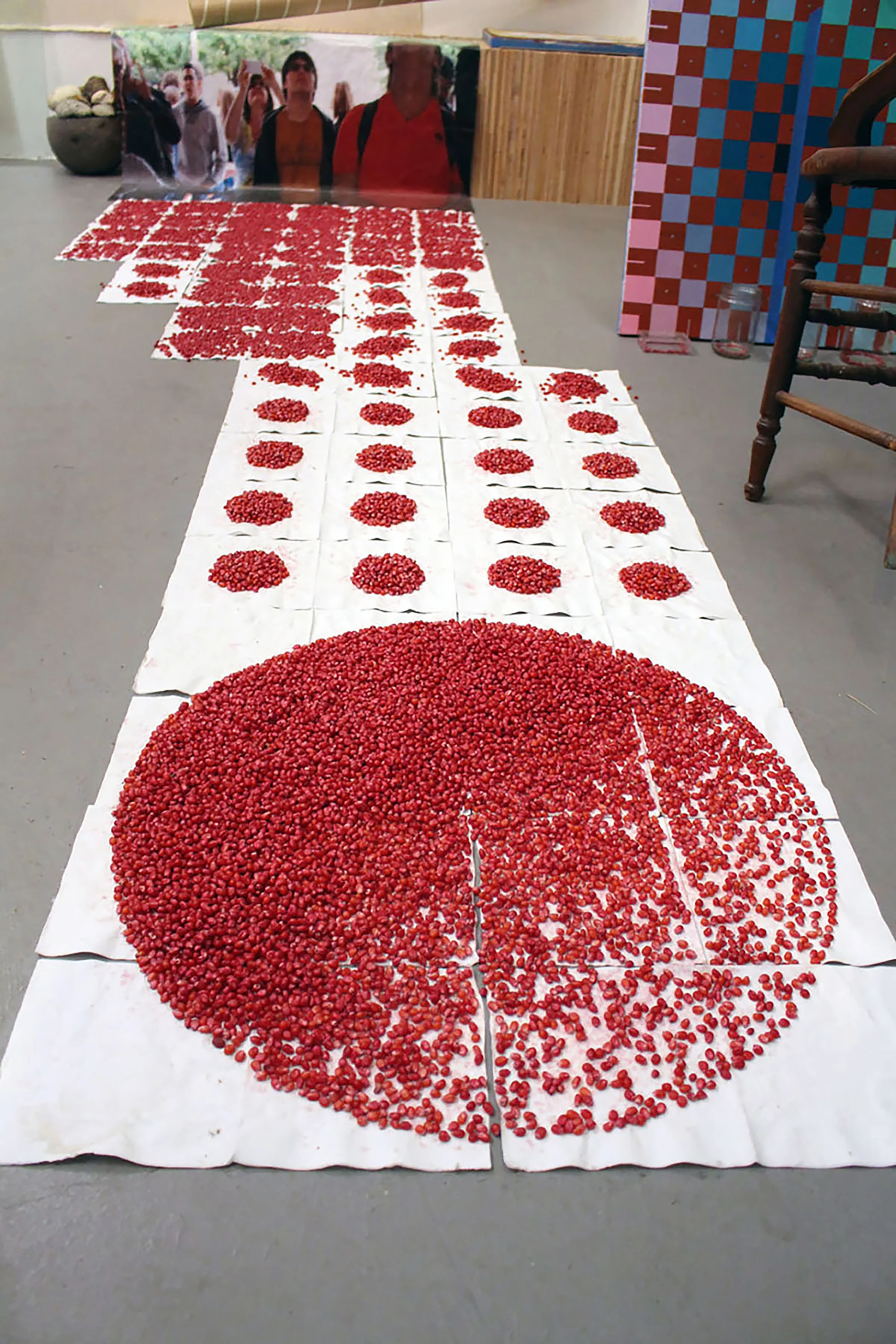 I.S._5.0 Popcorn Kernels in Cranberry Juice on Paper Napkins with Printed Copy Paper and Wood 60" x 160" x 18" 2016-17